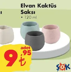 ELVAN KARE KAKTÜS SAKSI 120 ML ELVAN KARE KAKTÜS SAKSI 120 ML